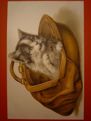 画像1: 猫のポストカード　1910s　未使用