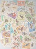 昆虫の切手　100枚