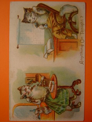 画像1: 猫のポストカード　1900s　未使用