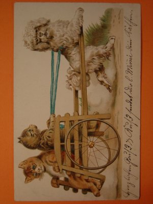 画像1: アンティーク　猫と犬のポストカード　1901年