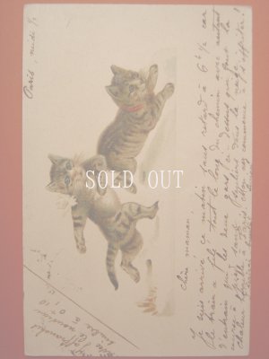 画像1: 猫のポストカード　かけっこ　1902年