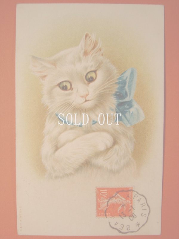 画像1: アンティーク　猫のポストカード　1908年