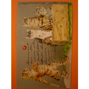 画像: テニスをしている猫のポストカード　1903年