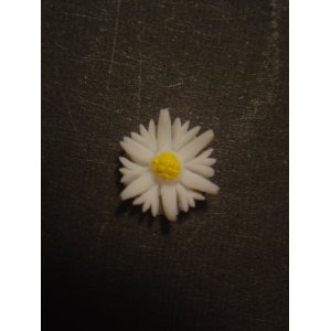 画像: 白い花のカボション