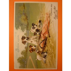 画像: 犬のポストカード　1904年