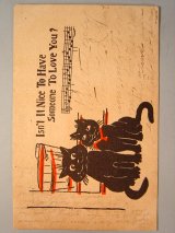 画像: 可愛い猫のポストカード　1907年