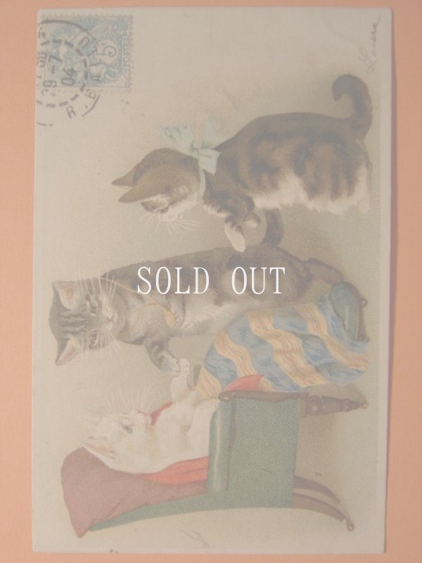画像1: 猫のポストカード　1904年