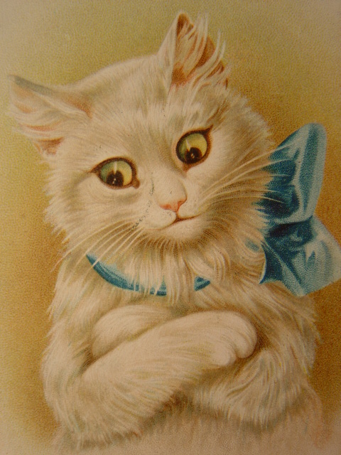 画像: アンティーク　猫のポストカード　1908年