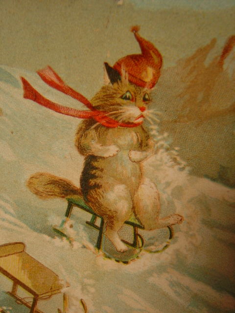 画像: アンティーク　猫のポストカード　1917年
