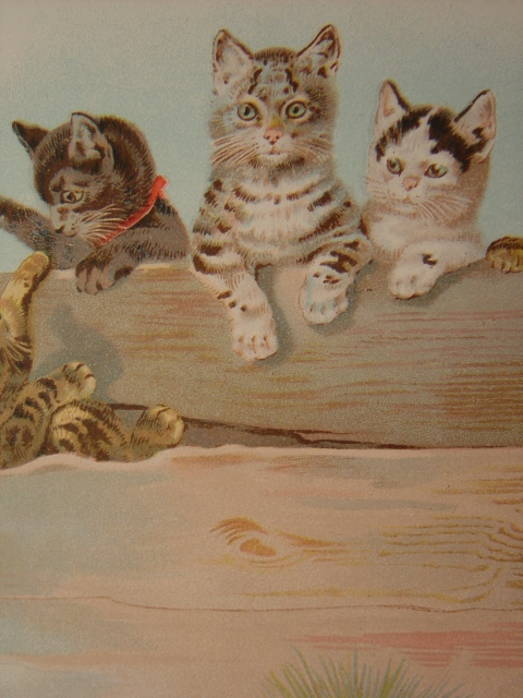 画像: 猫のポストカード　未使用　1900s