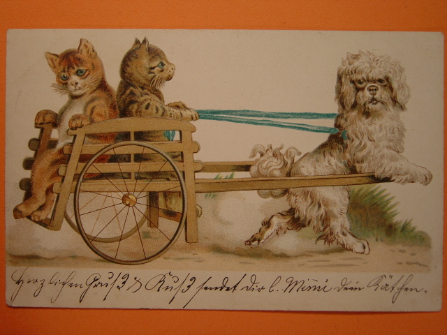 画像: アンティーク　猫と犬のポストカード　1901年