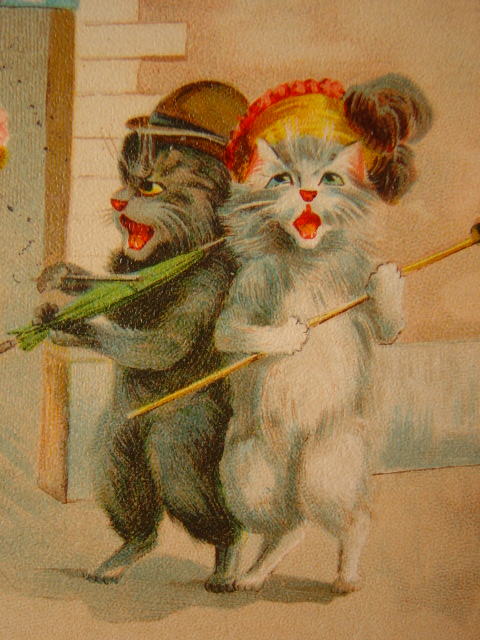 画像: アンティーク　猫のポストカード　1904年