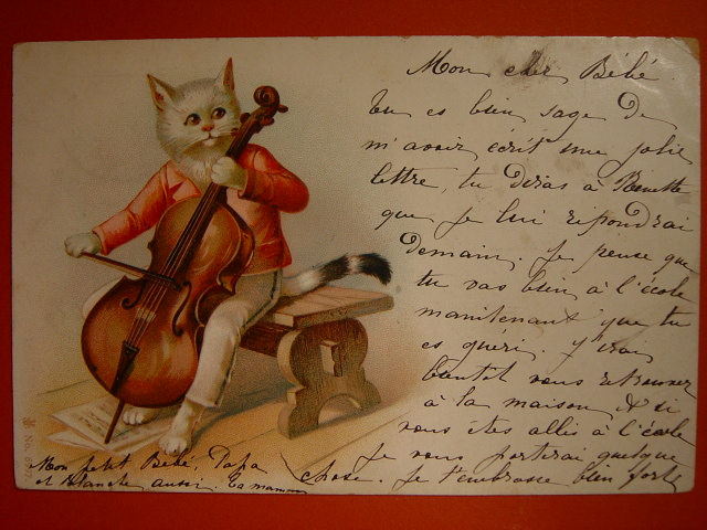 画像: チェロを弾いている猫のポストカード　1904年