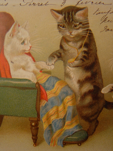 画像: 猫のポストカード　1903年