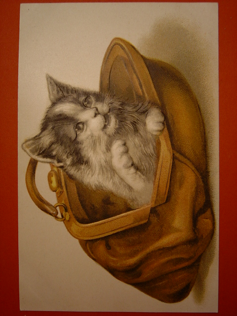 画像1: 猫のポストカード　1910s　未使用