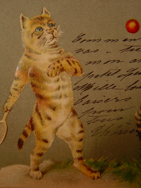 画像: テニスをしている猫のポストカード　1903年