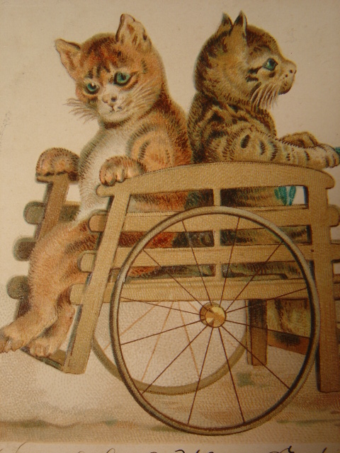 画像: アンティーク　猫と犬のポストカード　1901年
