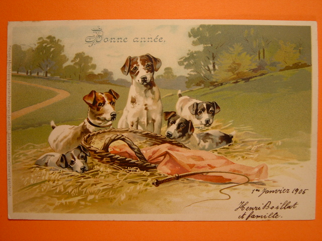 画像: 犬のポストカード　1904年