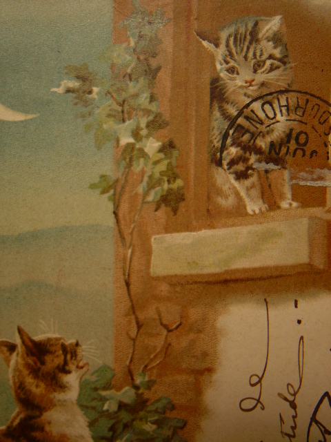 画像: 猫のポストカード　1901年