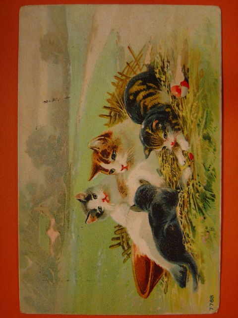 画像1: アンティーク　猫のポストカード　1911年