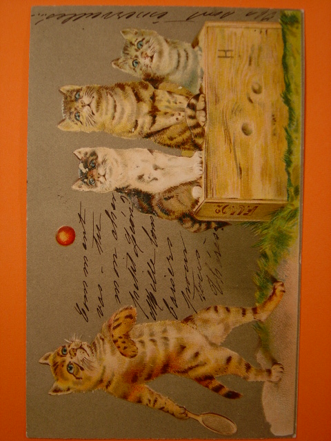 画像1: テニスをしている猫のポストカード　1903年