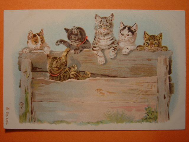 画像: 猫のポストカード　未使用　1900s