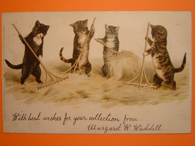 画像: 猫のポストカード　1902年