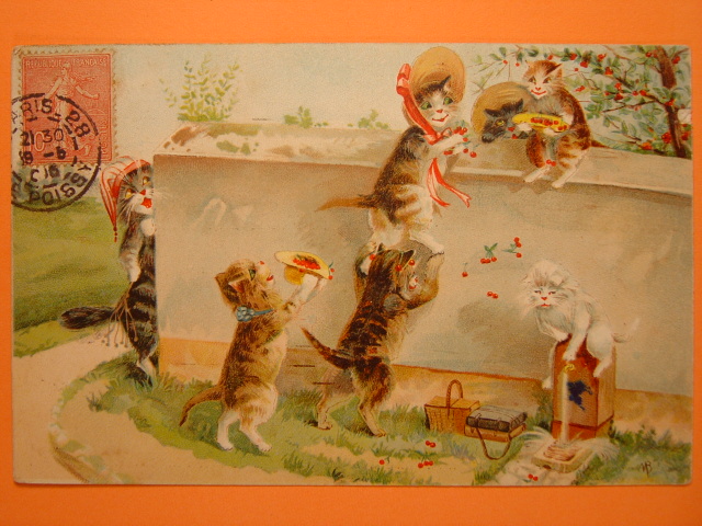 画像: 猫のポストカード　1906年