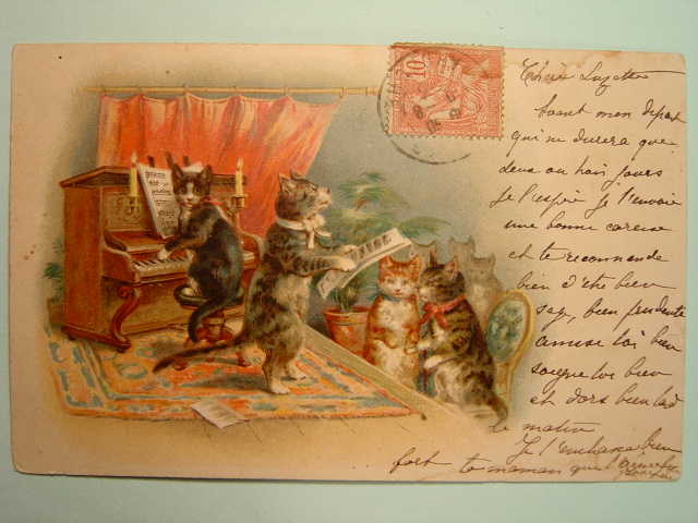 画像: 可愛い猫のポストカード　1903年