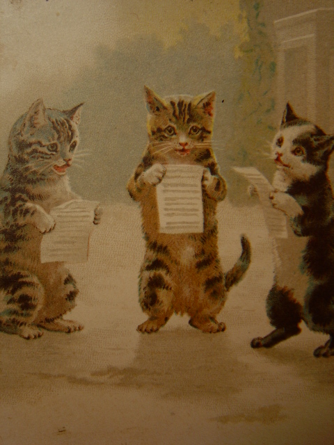 画像: 歌っている猫のポストカード　1904年