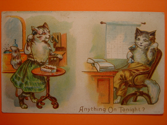 画像: 猫のポストカード　1900s　未使用