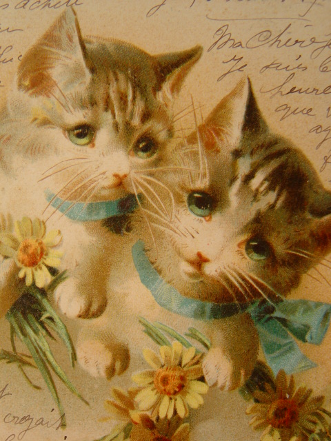 画像: 猫のポストカード　1901年