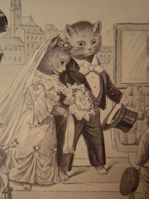 画像: 猫のポストカード　1912年　フランス