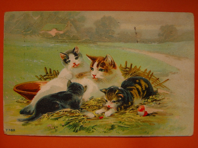画像: アンティーク　猫のポストカード　1911年