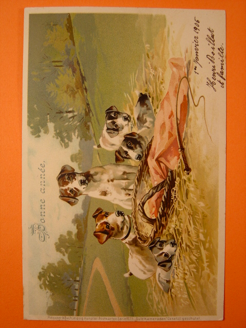 画像1: 犬のポストカード　1904年