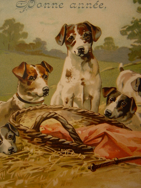 画像: 犬のポストカード　1904年