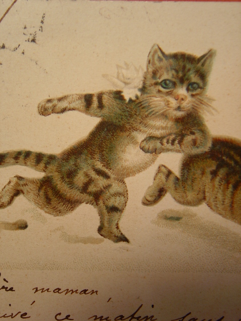 画像: 猫のポストカード　かけっこ　1902年