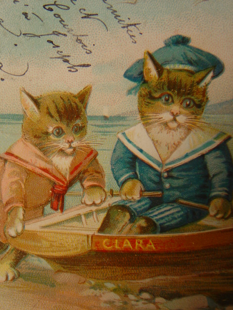 画像: 猫のポストカード　1903年