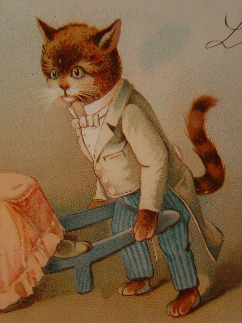 画像: 猫のポストカード　1905年