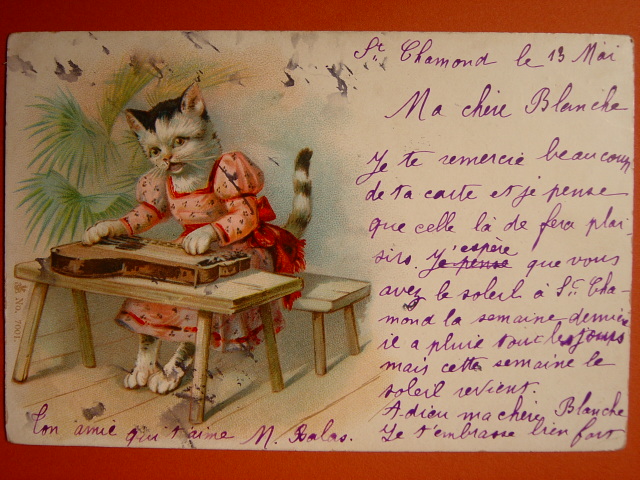 画像: 楽器を弾いている猫のポストカード　1902年