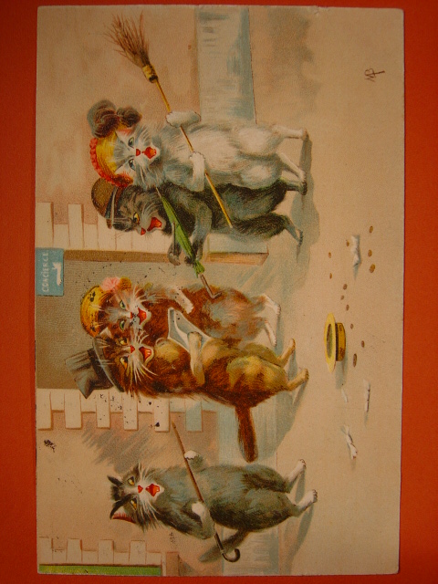 画像1: アンティーク　猫のポストカード　1904年