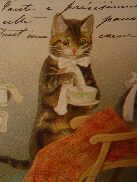 画像: 猫のポストカード　1903年