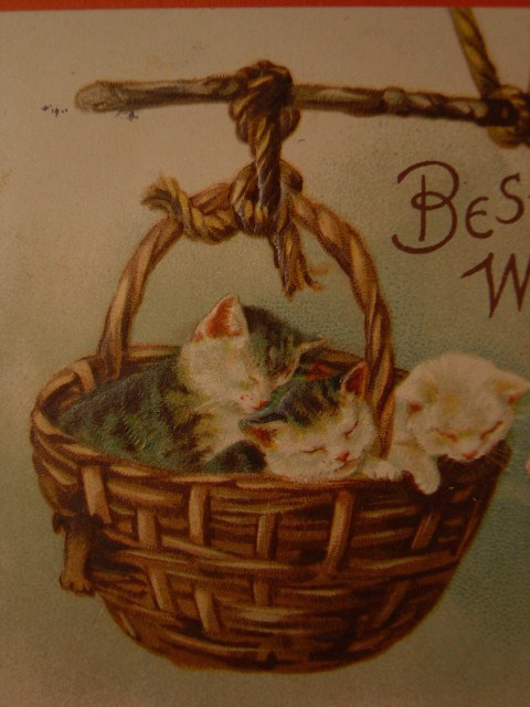 画像3: 子ネコと子犬のポストカード　1910年