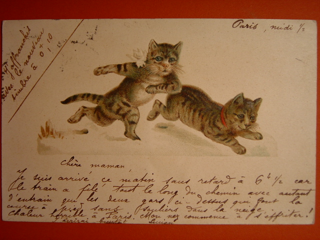 画像: 猫のポストカード　かけっこ　1902年