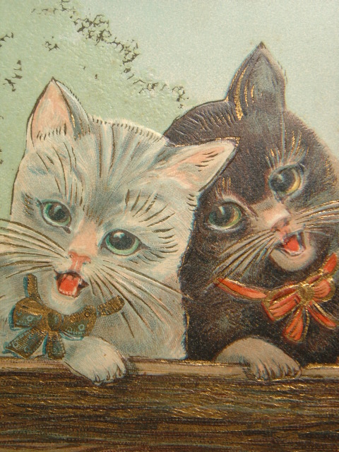 画像: 可愛い猫のポストカード　1910年