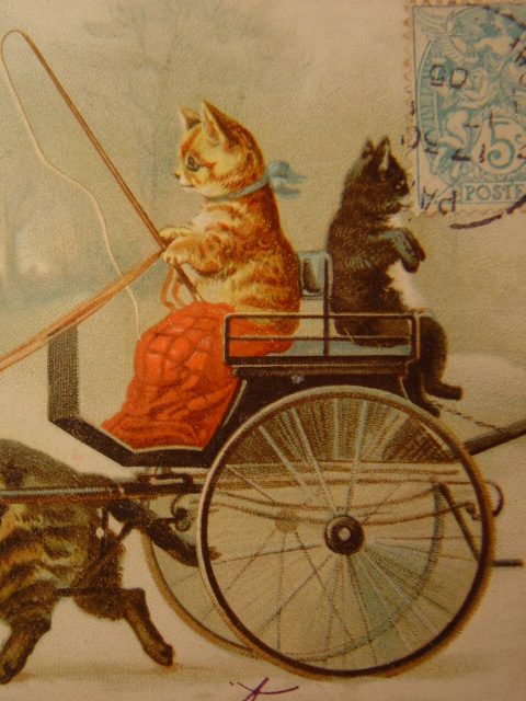 画像: 猫のポストカード　1905年