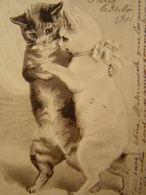 画像: すてきな猫のポストカード　1901年