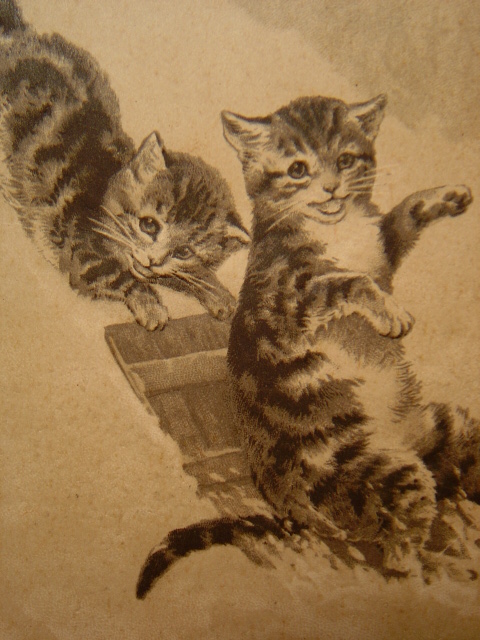 画像: 猫のポストカード　1903年