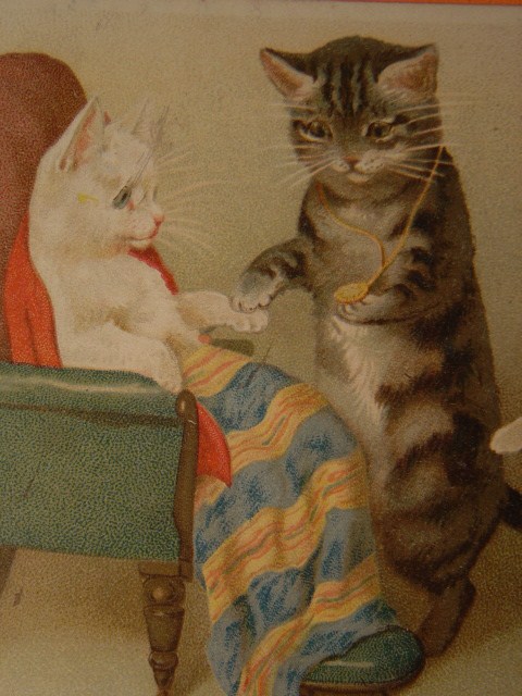 画像: 猫のポストカード　1904年