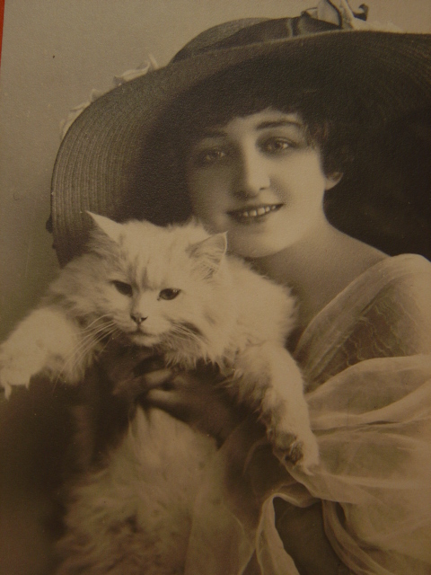 画像: 猫を抱いた女性のポストカード　1910s